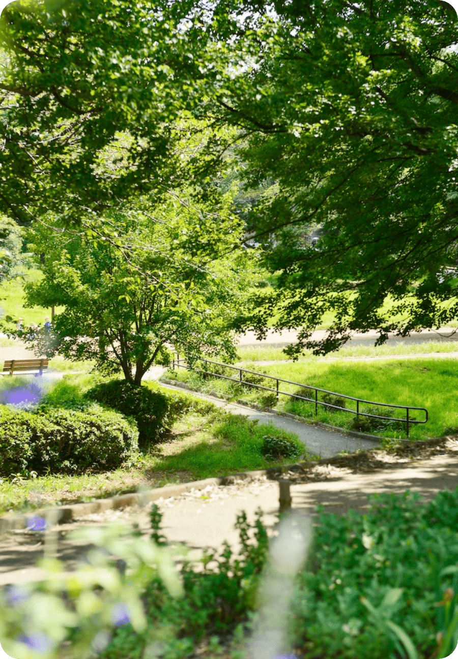 緑豊かな公園内の遊歩道