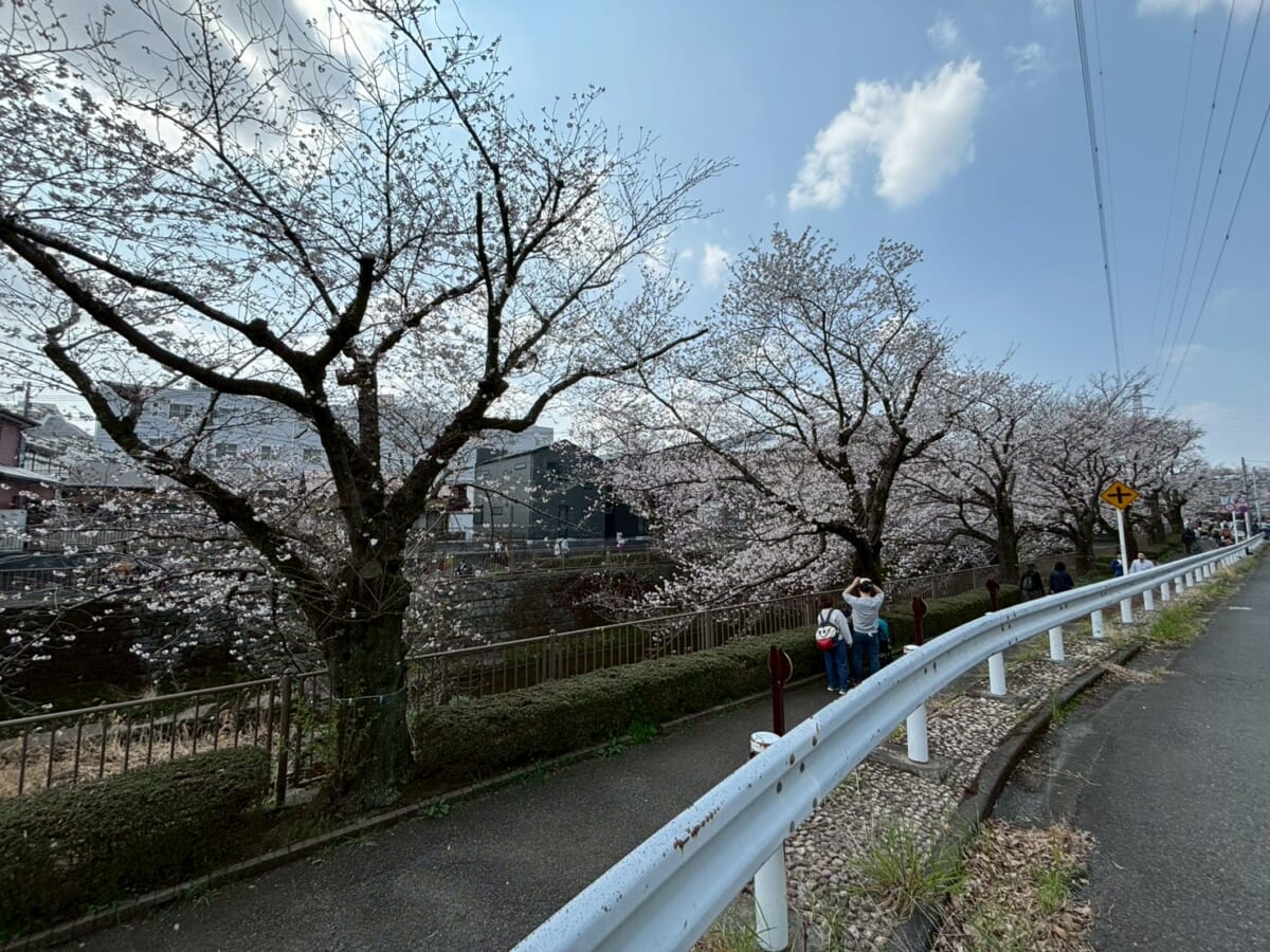 ギャラリー画像