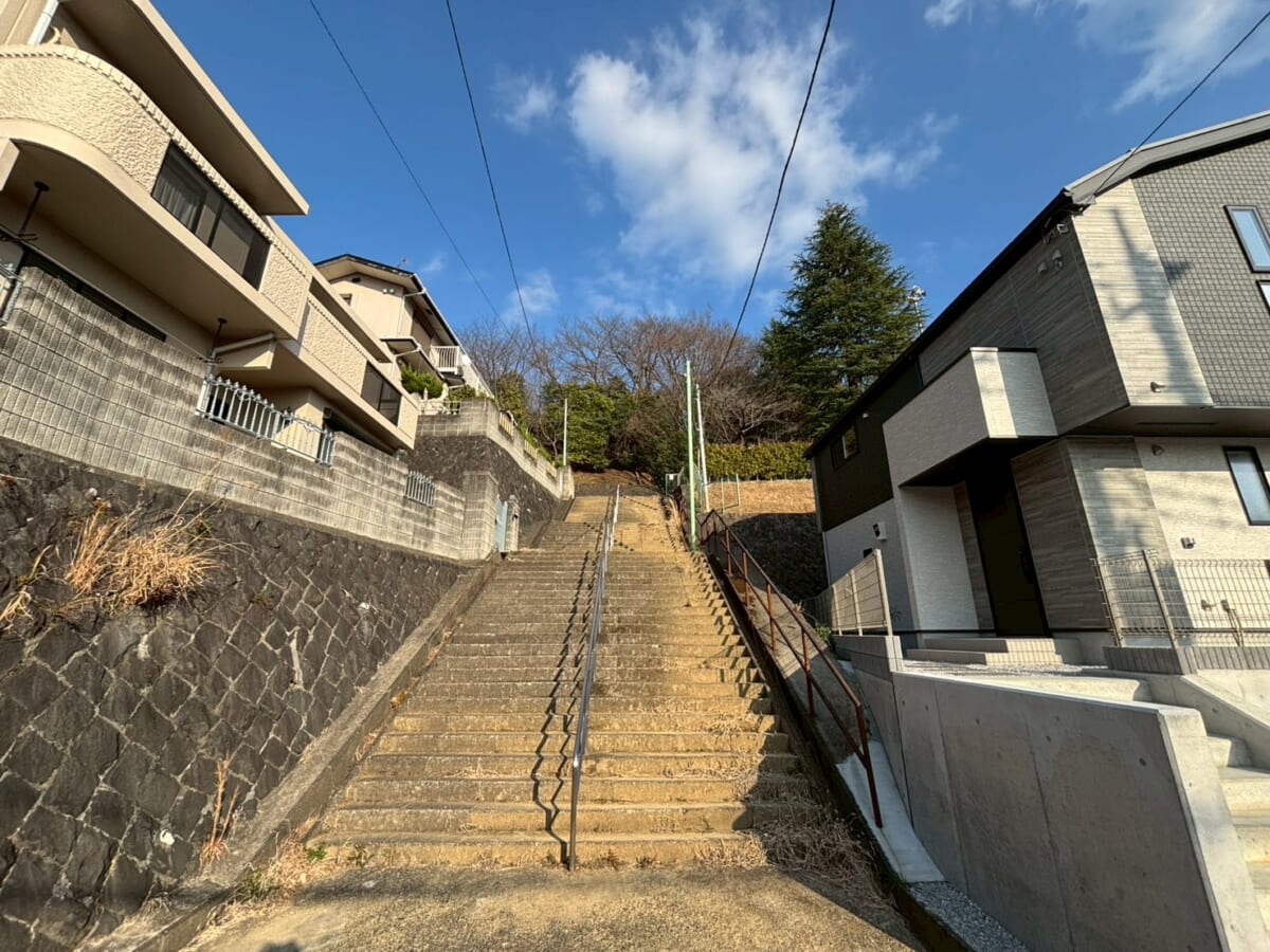 ギャラリー画像