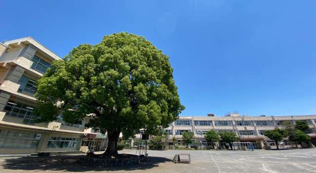 忠生第三小学校