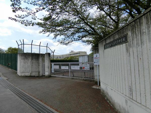 真光寺中学校
