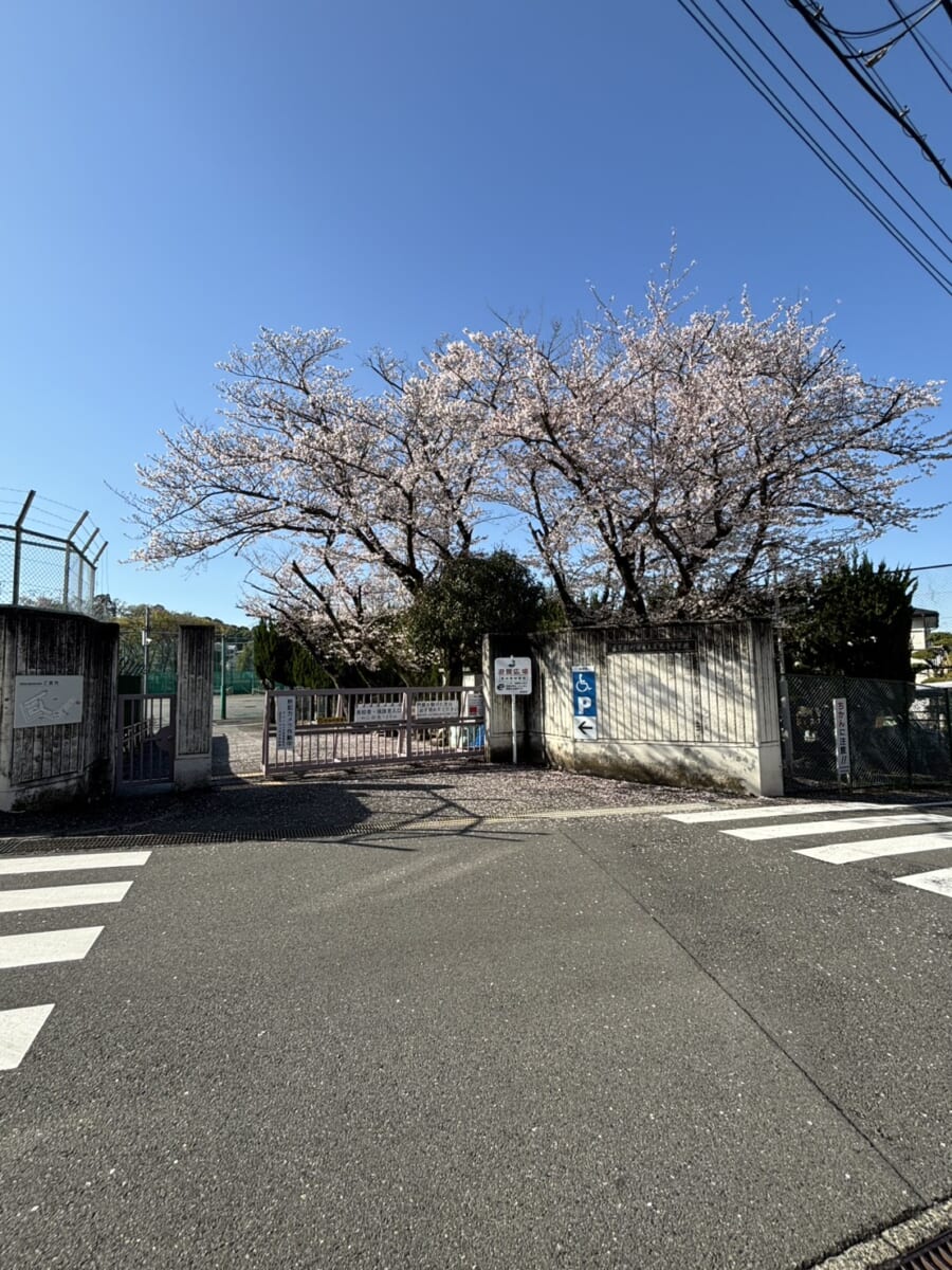真光寺中学校