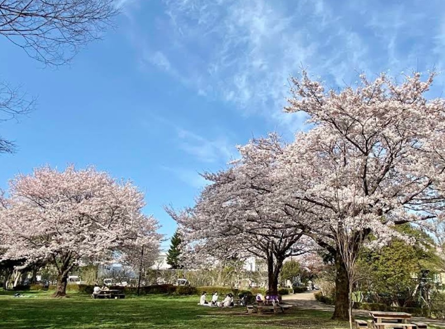忠生公園